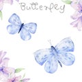 Watercolor Butterfly aquarelle clip art Royalty Free Stock Photo