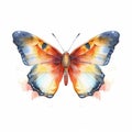 Watercolor Butterfly Art Illustration With Bright Colors Royalty Free Stock Photo