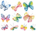 Watercolor butterfly collection