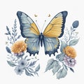 watercolor Butterfly and flowers