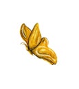 watercolor butterfly in gold in flight, large luxurious wings