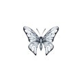 Watercolor butterfly of gray-blue color on a white background