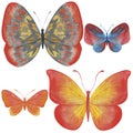 4086 watercolor butterfly, Watercolor illustration, butterflies, set of drawings, isolate on a white background