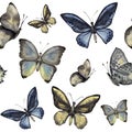 Watercolor butterfly seamless pattern. Hand painted insect ornament isolated on white background. Illustration for Royalty Free Stock Photo