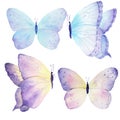 Watercolor butterfly set hand drawn painting. Can be used for greeting cards,wedding invitations,logo,T-shirts,bags,posters,printi Royalty Free Stock Photo