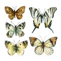 Watercolor butterfly set Royalty Free Stock Photo