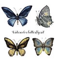 Watercolor butterfly set. Hand painted insect collection isolated on white background. Illustration for design, print. Royalty Free Stock Photo