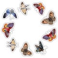 Watercolor butterfly tender insect, intresting moth, isolated wing illustration