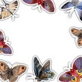 Watercolor butterfly tender insect, intresting moth, isolated wing illustration