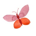 Watercolor butterfly tender insect, intresting moth, isolated wing illustration