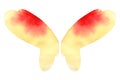 Watercolor butterfly wings isolated on white Royalty Free Stock Photo