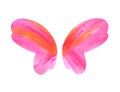 Watercolor butterfly wings