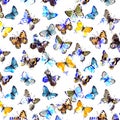 Watercolor butterflyes on the white background.es