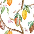 Watercolor cacao pattern