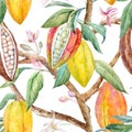 Watercolor cacao pattern