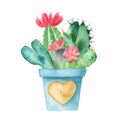 Watercolor cacti and succulents in flower pots.