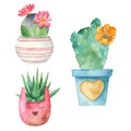 Watercolor cacti and succulents in flower pots.
