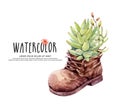 Watercolor cactus cacti in leather shoes boots