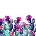 Watercolor cactus Royalty Free Stock Photo