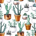 Watercolor cactus desert tropical garden seamless pattern. Watercolour cactus pattern