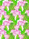 Watercolor cactus illustration, seamless pattern.