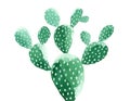 Watercolor Cactus painting. Opuntia `Pad Cactus`.