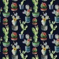 Watercolor cactus in a pot seamless pattern. Hand painted opuntia, cereus in a green, red and blue pot isolated on dark