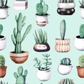 Watercolor cactus in pot tropical garden seamless pattern.