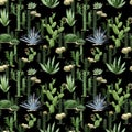 Watercolor cactus seamless pattern.