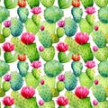 Watercolor Cactus Seamless Pattern, Aquarelle Tropical Flower, Creative Watercolor Cactaceae Tile