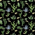 Watercolor cactus seamless pattern.