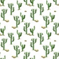 Watercolor cactus seamless pattern.