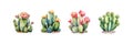 Watercolor cactus set. Vector illustration design Royalty Free Stock Photo