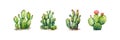Watercolor cactus set. Vector illustration design Royalty Free Stock Photo