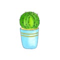 Watercolor cactus succulent plants in flowerpots. Hand drawn sketch illustration isolated on white background