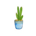 Watercolor cactus succulent plants in flowerpots. Hand drawn sketch illustration isolated on white background