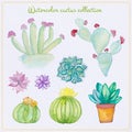 Watercolor cactus and succulent set. Watercolor set of cactus, succulents isolated illustration on a white background, hand draw Royalty Free Stock Photo