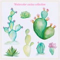 Watercolor cactus and succulent set. Watercolor set of cactus, succulents isolated illustration on a white background, hand draw Royalty Free Stock Photo