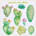 Watercolor cactus and succulent set. Watercolor set of cactus, succulents isolated illustration on a white background, hand draw Royalty Free Stock Photo