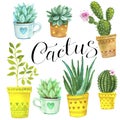 Watercolor cactus and succulents. Raster illustration for greeting cards,