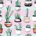 Watercolor cactus tropical garden seamless pattern. Royalty Free Stock Photo