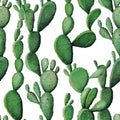 Watercolor cactus tropical garden seamless pattern.