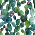 Watercolor cactus tropical garden seamless pattern. Royalty Free Stock Photo