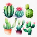 Watercolor cactuses collection on white background. Generative ai