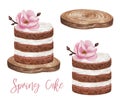 Watercolor cake with flowers clipart, Magnolia flowers, sweet chocolate cake isolated, hand drawn cake illustration