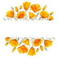 Watercolor california orange poppies frame isolated