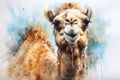 watercolor Camel Watercolor realistic camel desert