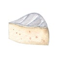 Watercolor camembert piece cheese isolated on white . Hand drawn brie slice illustration Royalty Free Stock Photo