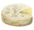 Watercolor Camembert round cheese with cutted piece illustration. Creamy brie for food designs, French cuisine, products