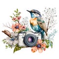 Watercolor camera with flowers sketch Wildflowers